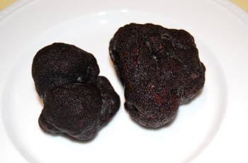 冷凍黒トリュフ（truffe）特大プレミアサイズ 200g入り