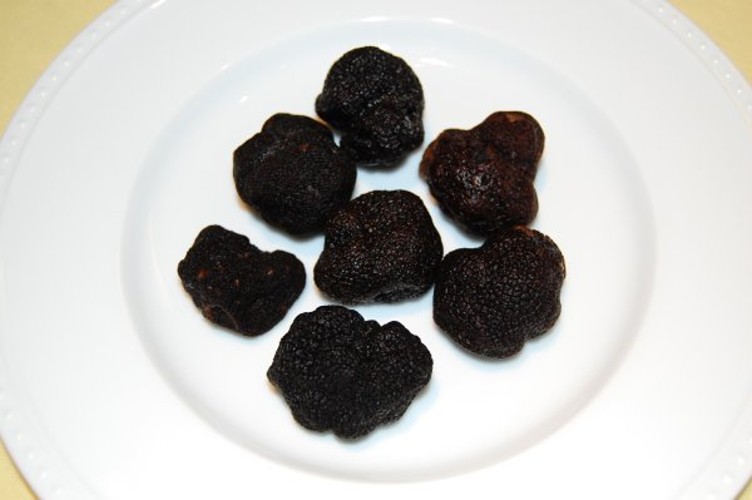 冷凍黒トリュフ（truffe）標準サイズ 100g入り～トリュフ屋(トリュフマート)の通信販売